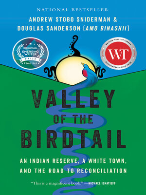 cover image of Valley of the Birdtail